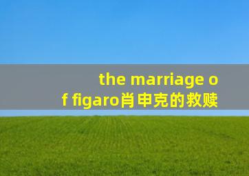 the marriage of figaro肖申克的救赎